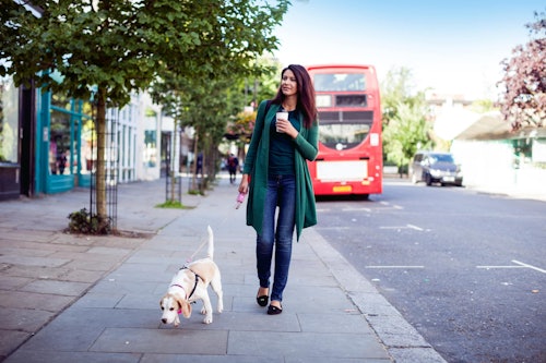 A woman walking her dog around London.